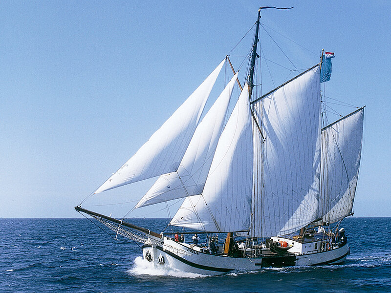 Segelschiff in voller Fahrt