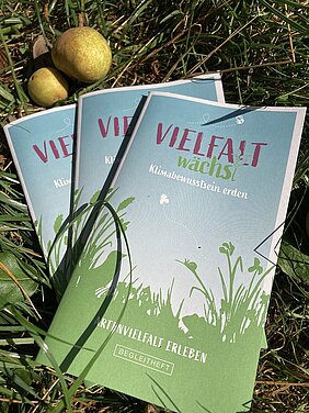 Begleitheft zum Projekt