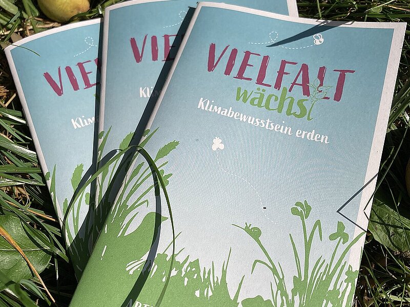 Begleitheft zum Projekt