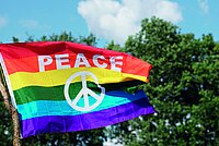 Peaceflag