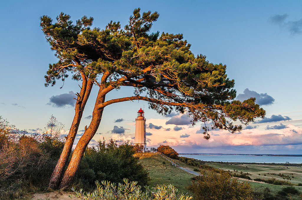 Leuchtturm Hiddensee
