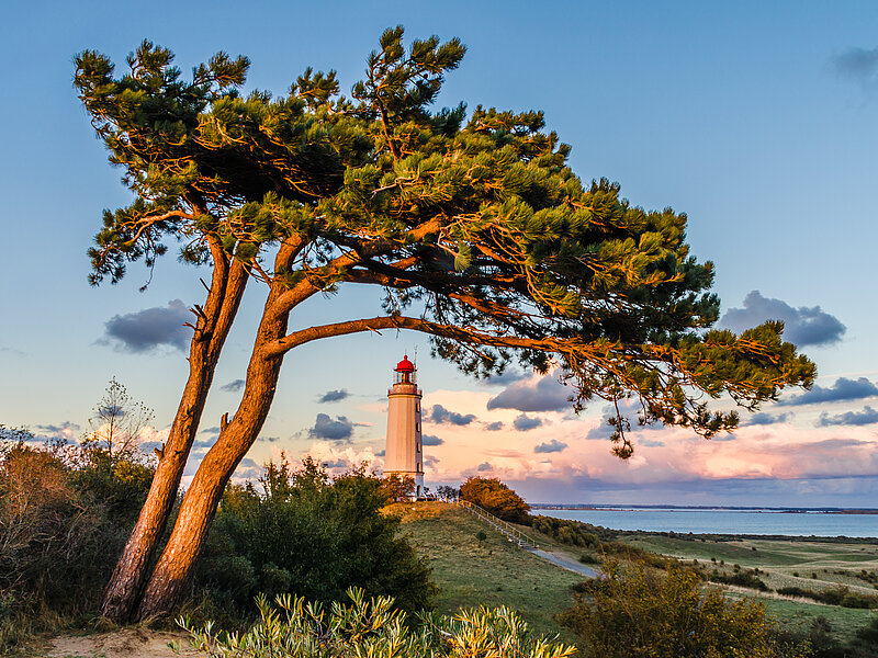 Leuchtturm Hiddensee
